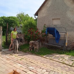 At home summer 2021 Cookie, Arion, Julka